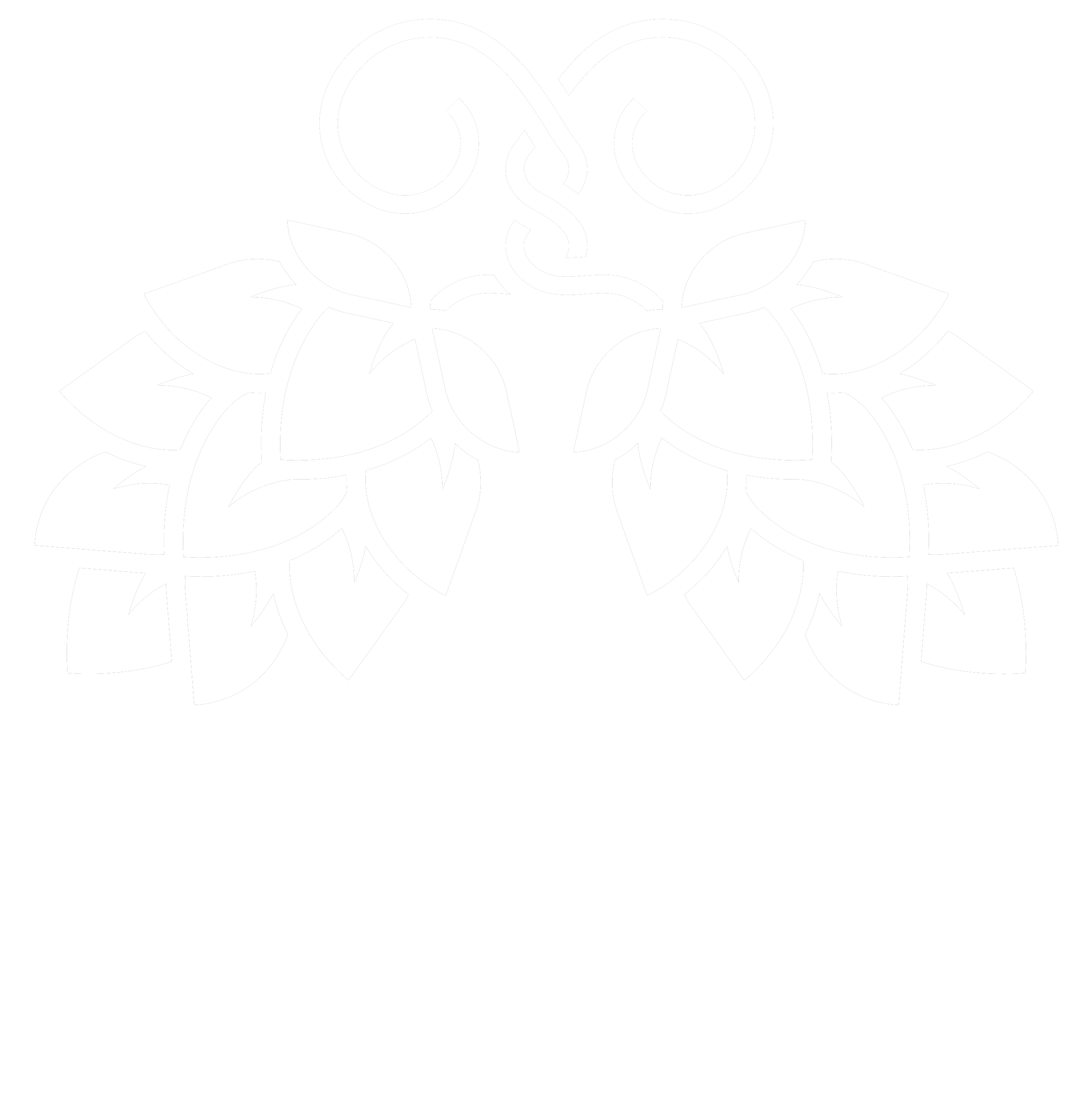 Van Hoppen
